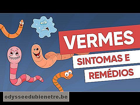 Imagem ilustrativa do vídeo: Sintomas e remédios para acabar com VERMES