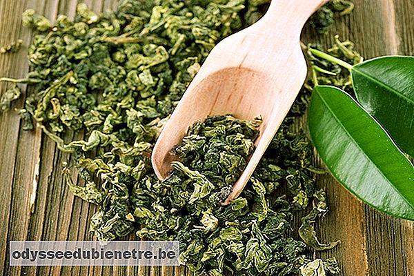 Chá verde acelera o metabolismo e ajuda a emagrecer