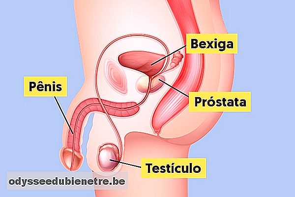 ce înseamnă prostată