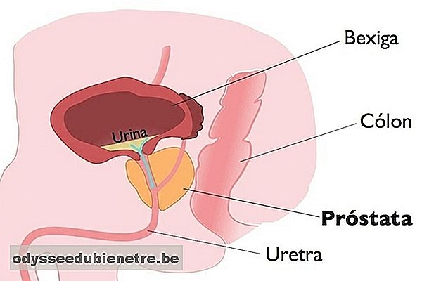 Localização da próstata