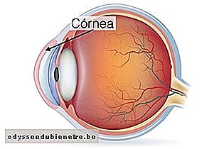 Localização da córnea no olho