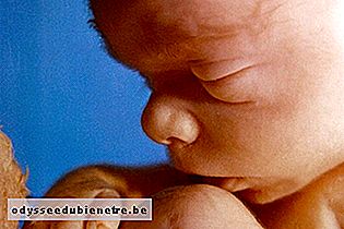 Desenvolvimento do bebê - 20 semanas de gestação