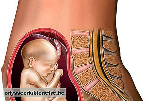 Desenvolvimento do bebê - 21 semanas de gestação