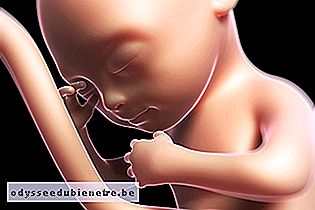 Bebê com 6 meses de gestação em 3D