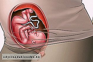 Posição do bebê com 6 meses na barriga