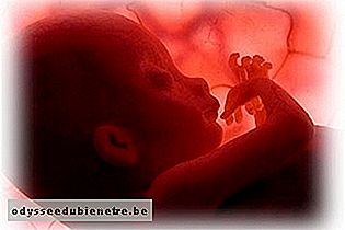 Desenvolvimento do bebê - 28 semanas de gestação