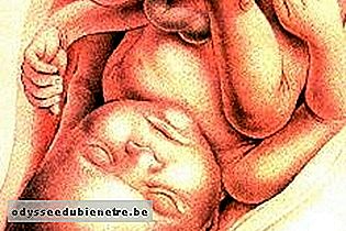 Desenvolvimento do bebê - 36 semanas de gestação