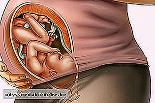 Desenvolvimento do bebê - 38 semanas de gestação