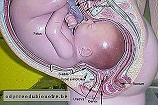 Desenvolvimento do bebê - 40 semanas de gestação
