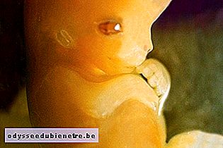 Desenvolvimento do bebê - 7 semanas de gestação
