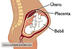 Placenta normal