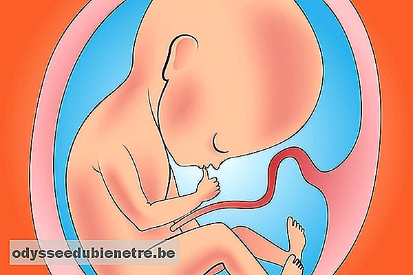 Como identificar a infecção intra-uterina no bebê
