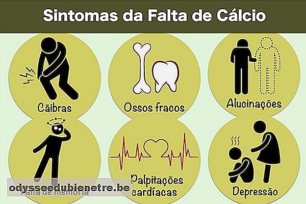 Falta de cálcio: sintomas e como aumentar a absorção de cálcio